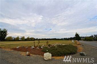 2195 Buchanan Loop - Photo 1
