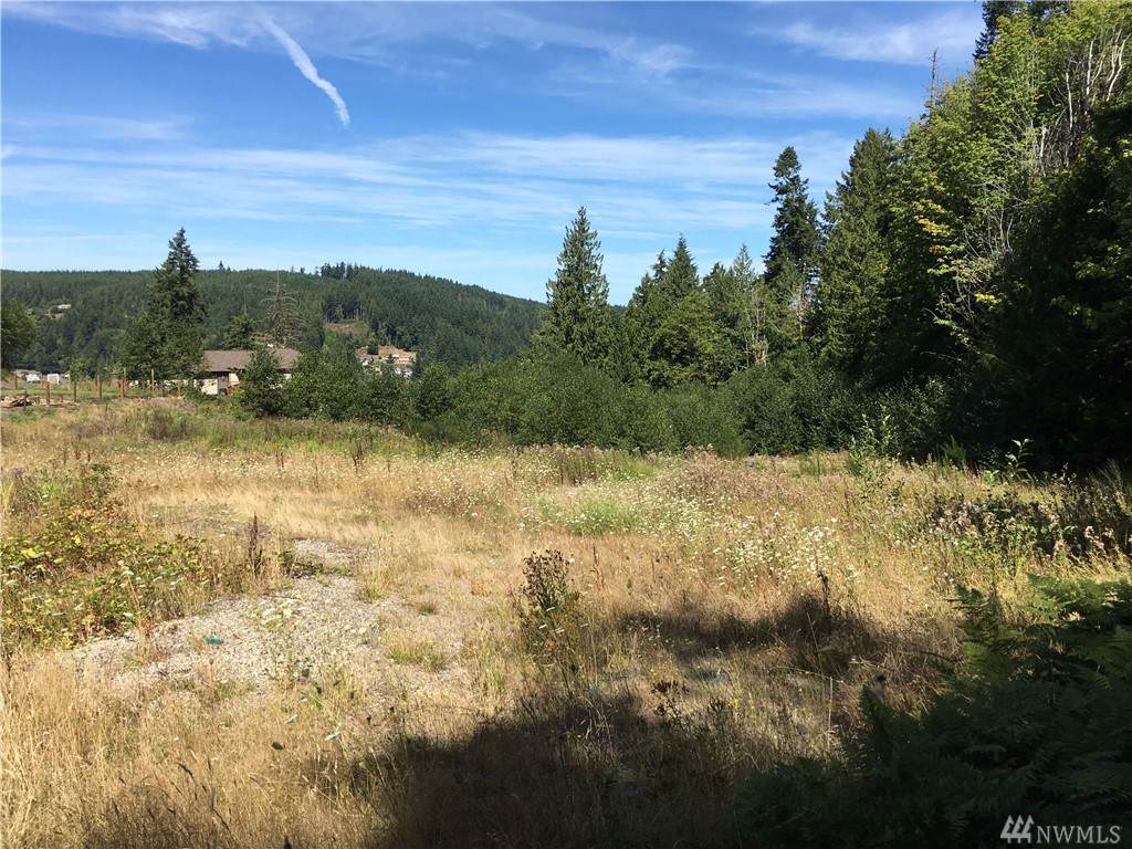 947 Turkey Rd - Photo 1