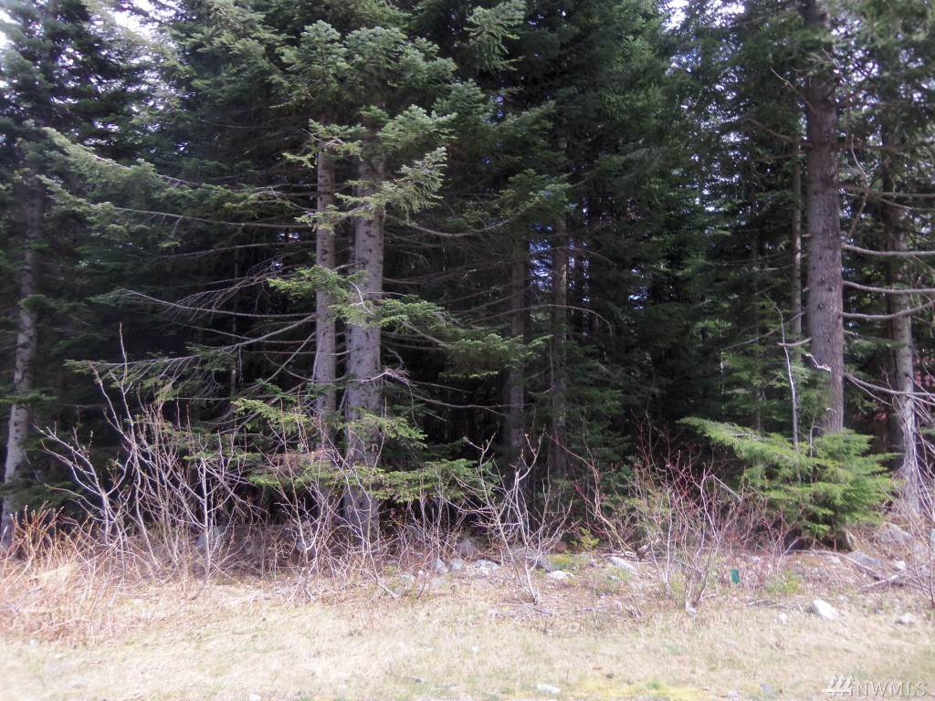 0-Lot 15 Arlberg Place - Photo 1