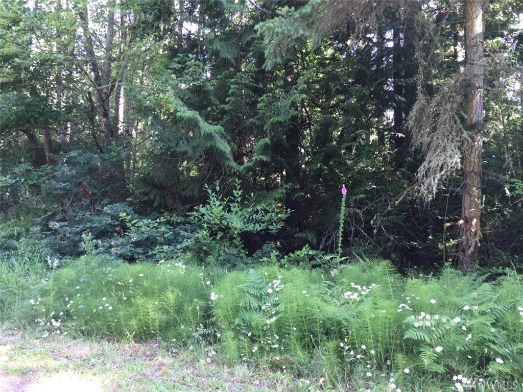 10014 Edgewood Dr - Photo 1