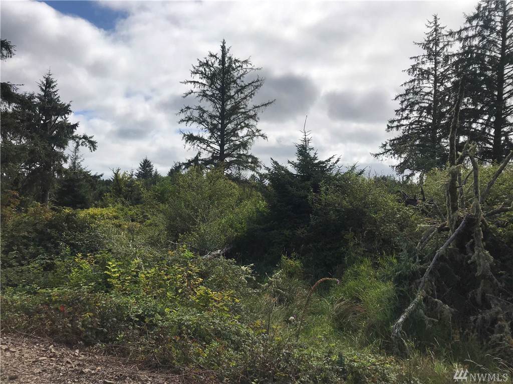 0 Us Highway 101 - Photo 1