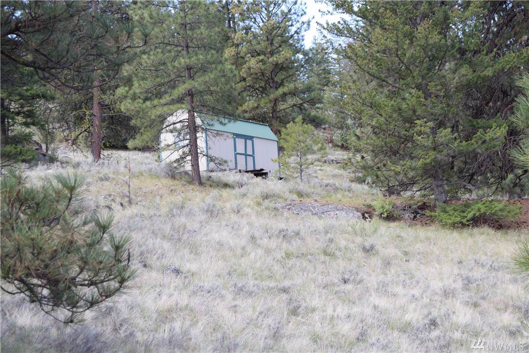 0-TBD Badger Rd - Photo 1