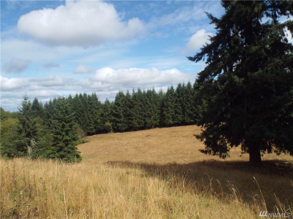 1-Lot Penning Road Rd - Photo 1