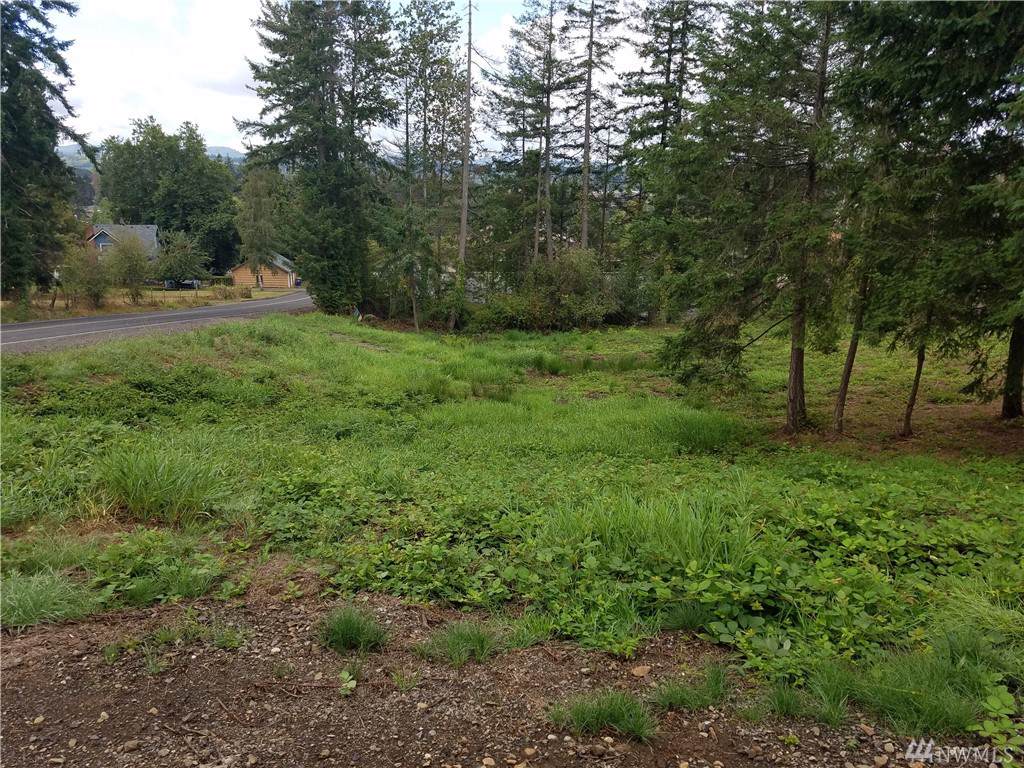 119 Wallace Rd - Photo 1