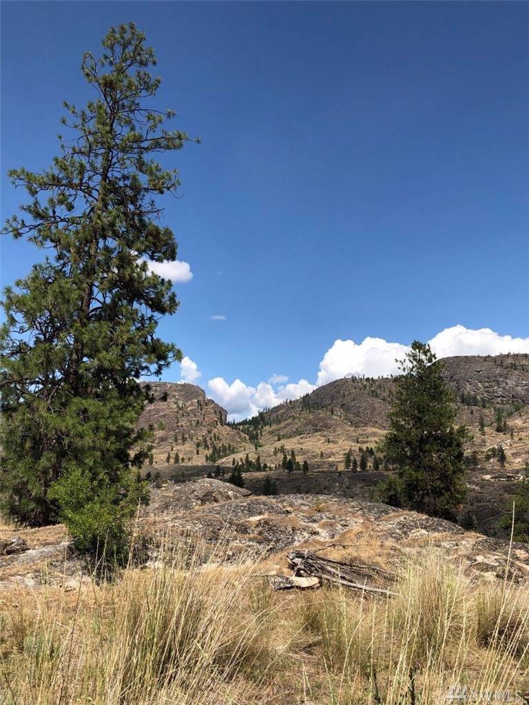 322-J N End Omak Lake Rd - Photo 1