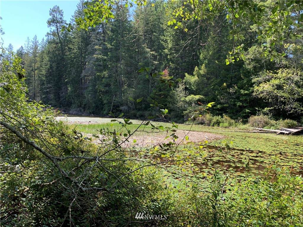 16 Tahuya Blacksmith Road - Photo 1