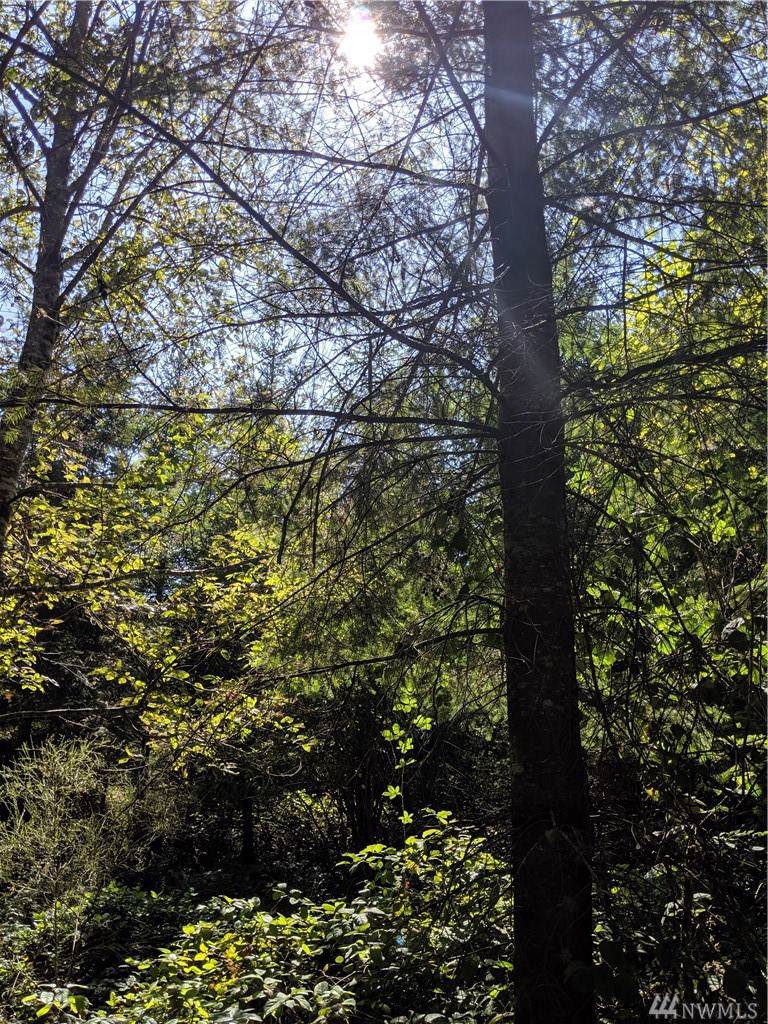 2 Lone Bear Lane - Photo 1