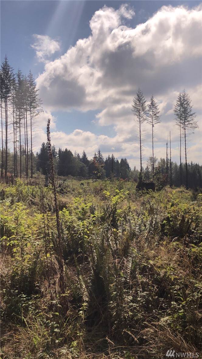 47-XXX Newberg Rd - Photo 1