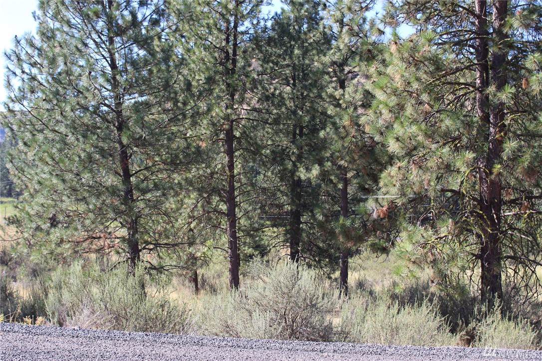 25726 Pine Cone Ct - Photo 1