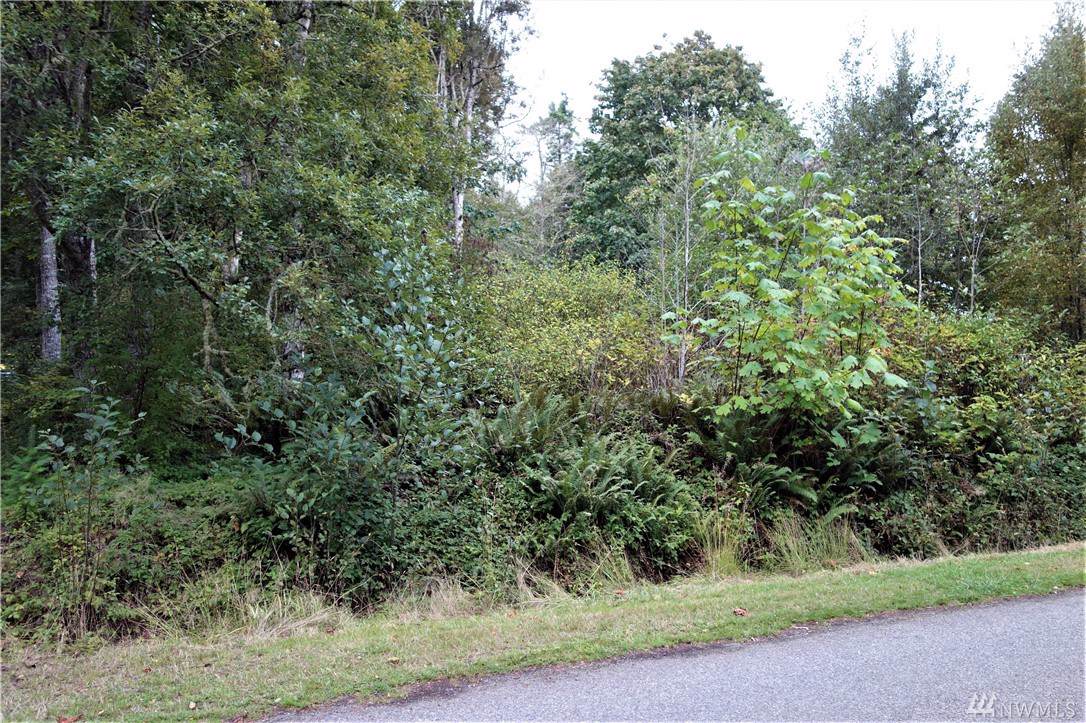 5-Area 2 Rainier Lane - Photo 1