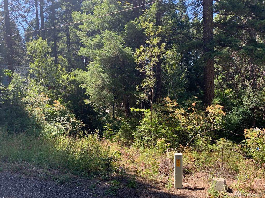 0 Eagle View Dr - Photo 1