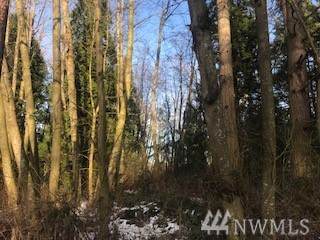 7202 Blaine Rd - Photo 1