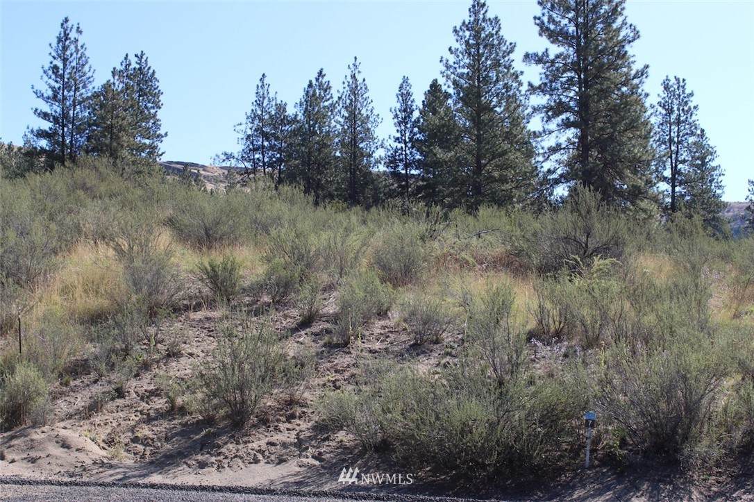 25776 Pine Cone Court - Photo 1