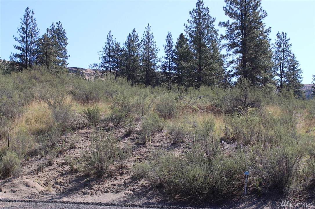 25776 Pine Cone Ct - Photo 1 25776 Pine Cone Ct - Photo 1