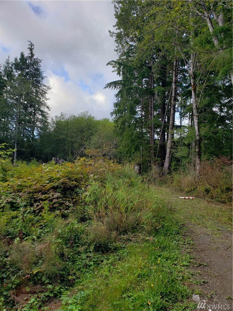 0-L2 Hoquiam Rd - Photo 1