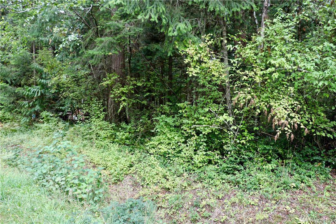 0-XXX Moose Trail - Photo 1