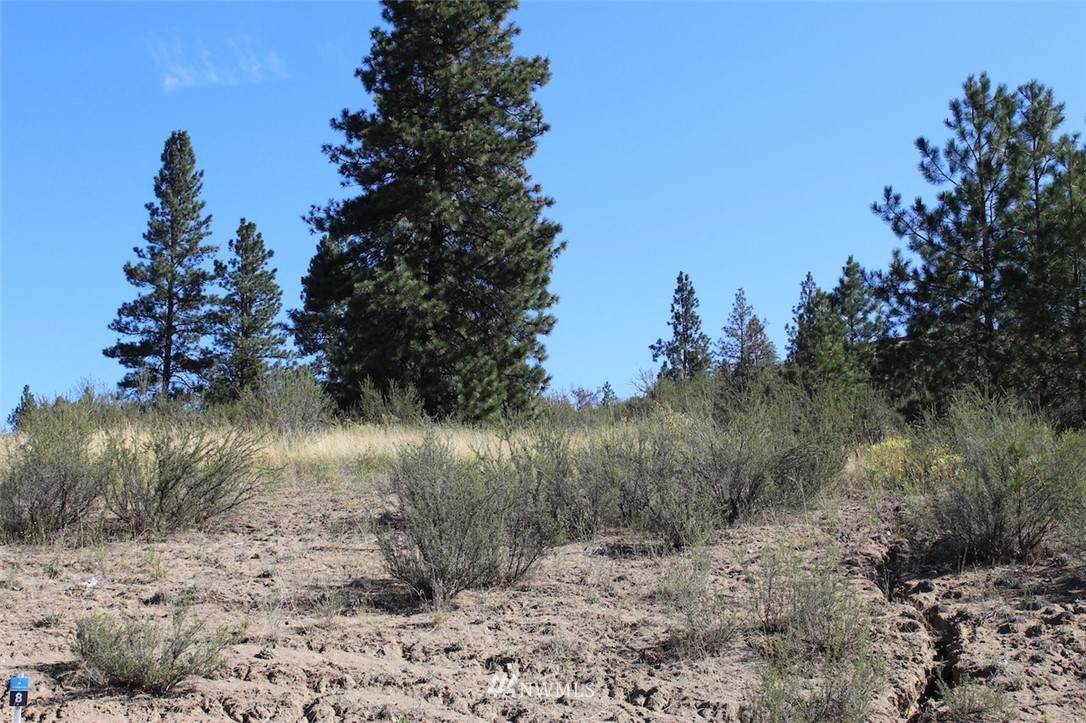 25760 Rock Bluff - Photo 1