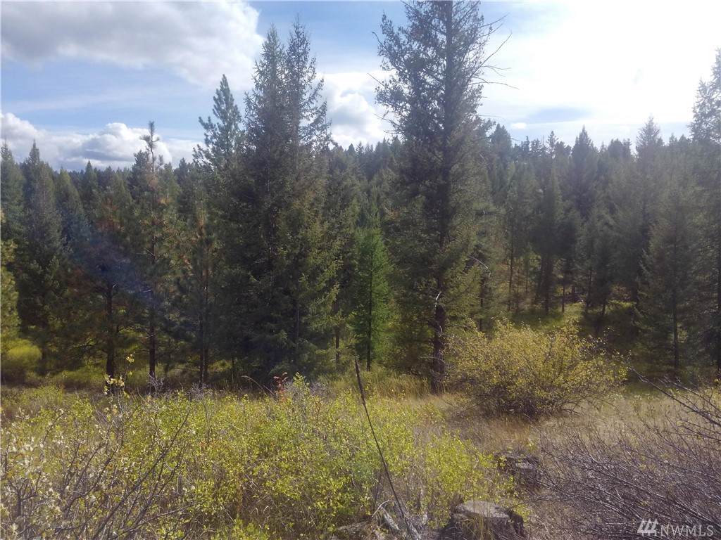 57 Corral Dr - Photo 1