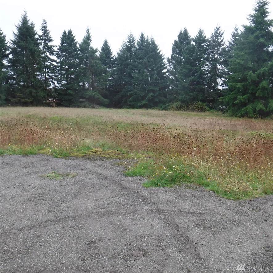 0 Noble Fir Lane - Photo 1