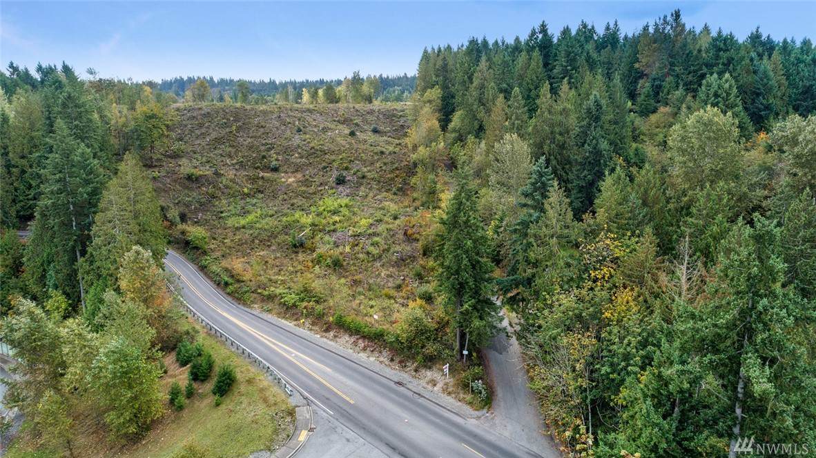 0 Rhodes Lake Rd - Photo 1
