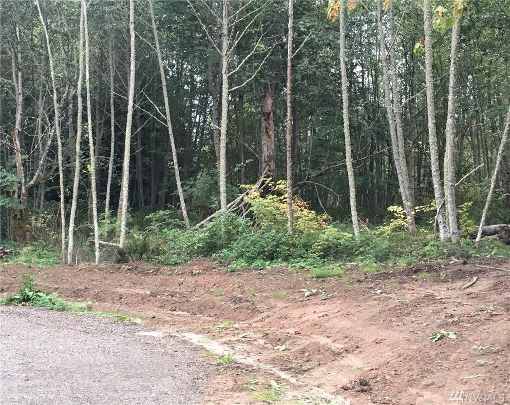 99999 Round Tree Rd - Photo 1