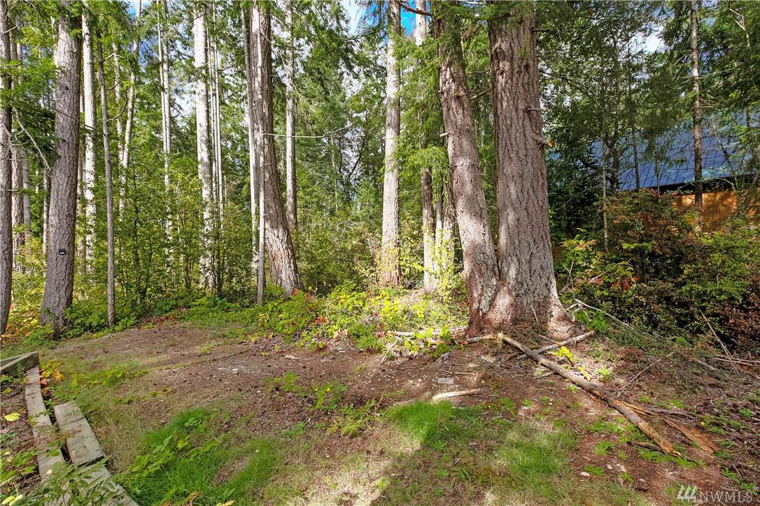 40 Treasure Island Dr - Photo 1