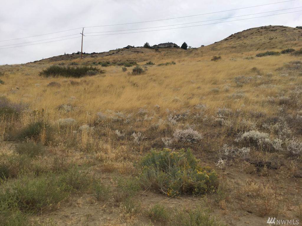 0-NNA Catalina Dr - Photo 1