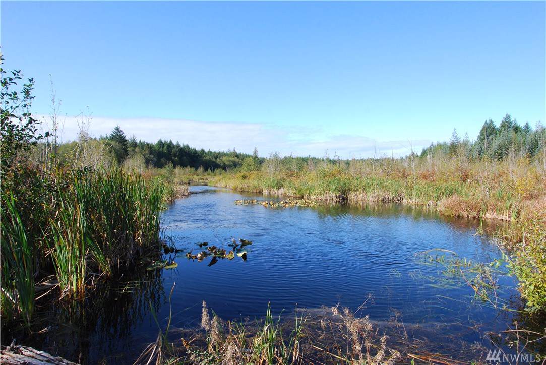 0-Lot 3 Timber Ridge - Photo 1