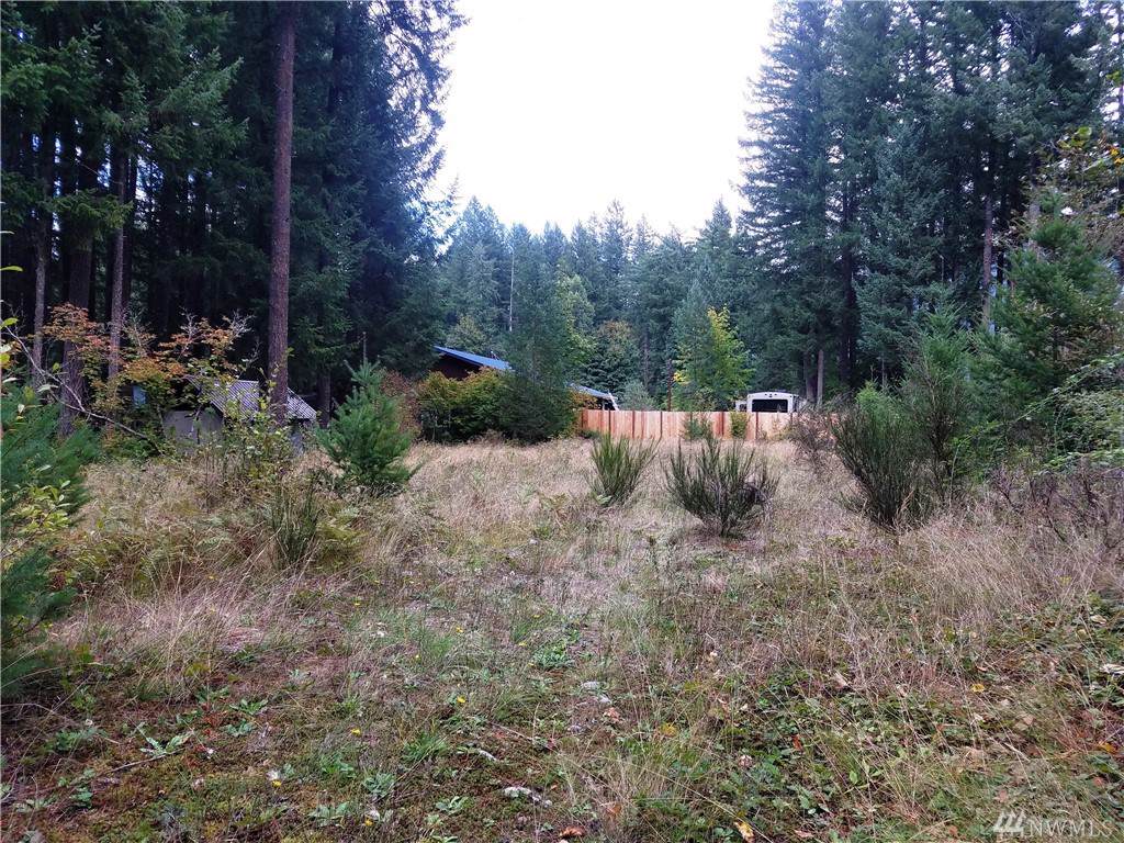 0-Lot 66 Cowlitz View Dr - Photo 1