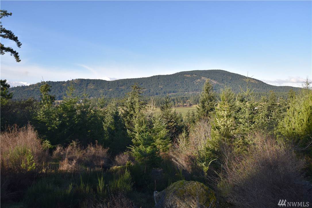 298 Mountain Crest Dr - Photo 1