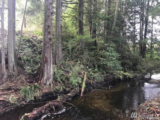 0 Spruce Rd - Photo 1