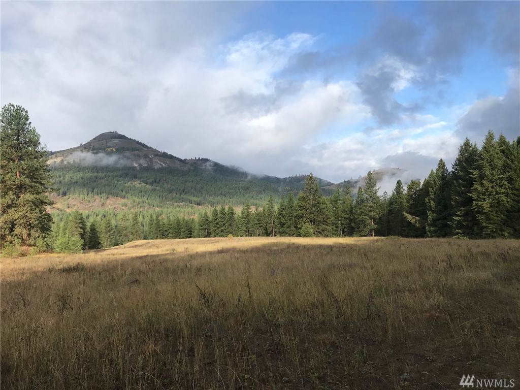 0-Tract 1 Tonasket Creek Rd - Photo 1