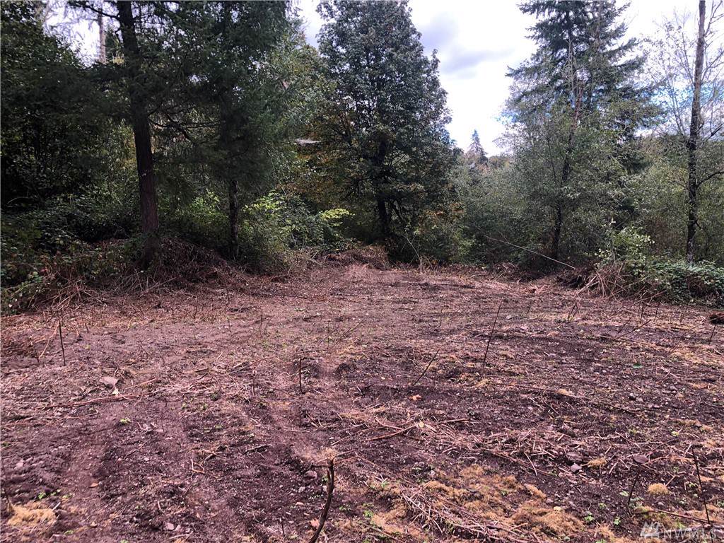 0-Lot 2 Kalama River Rd - Photo 1