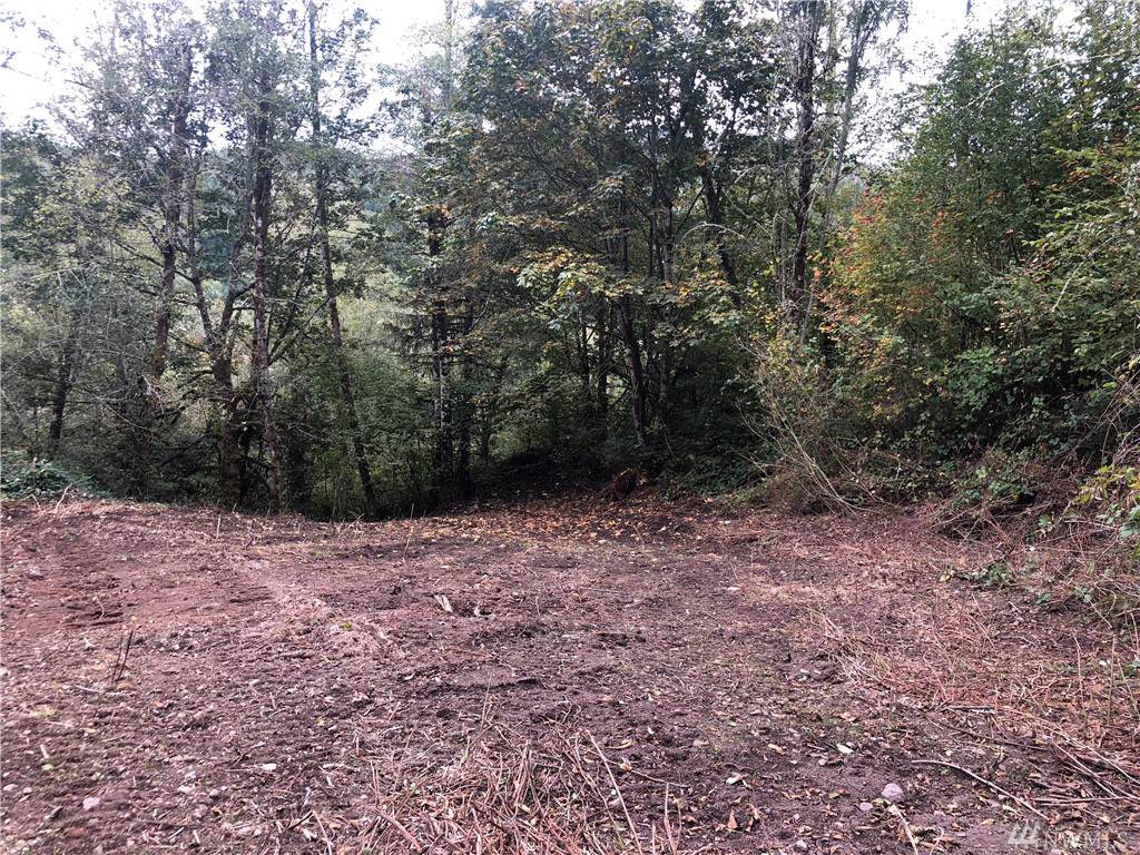 0-Lot 1 Kalama River Rd - Photo 1