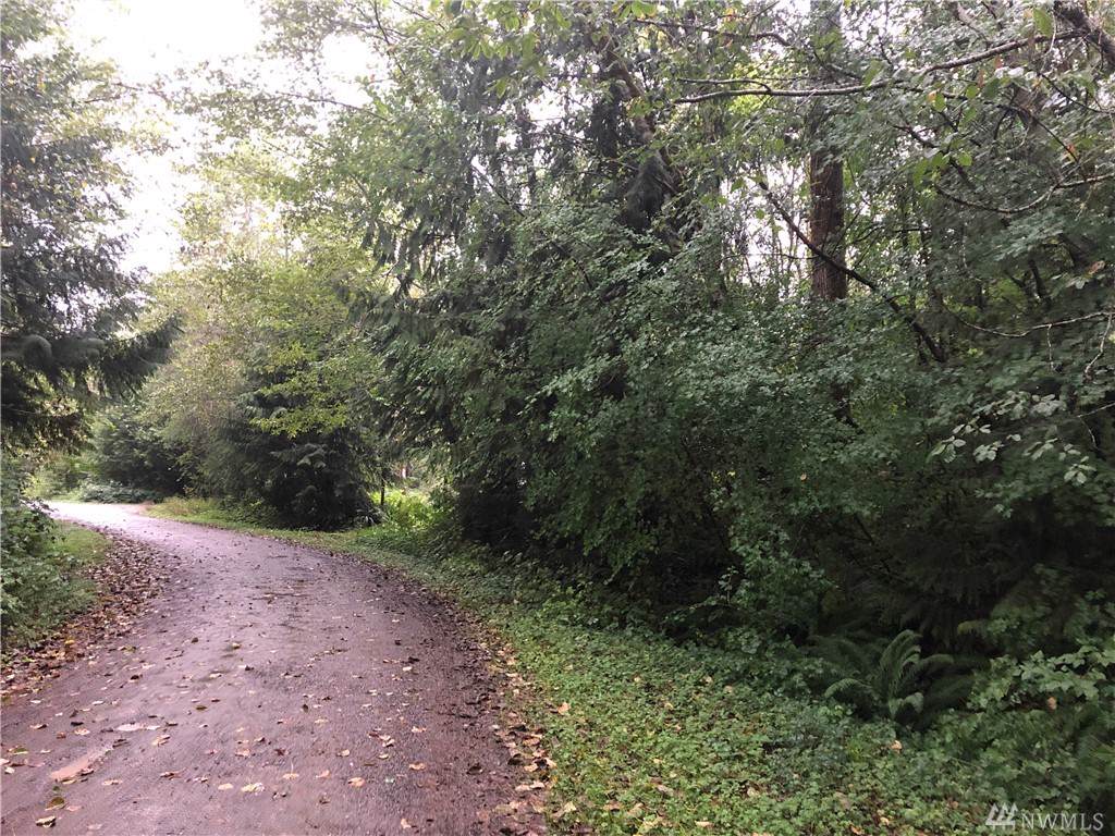 0 Lot 62 Div 5 Chimacum Dr - Photo 1