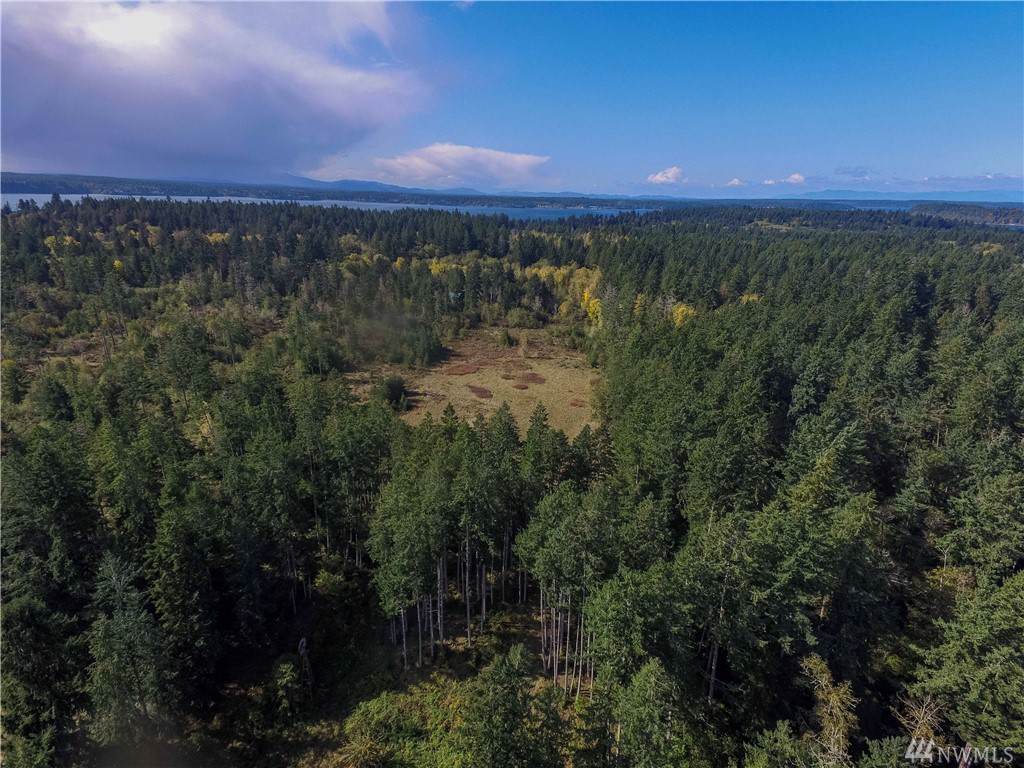 12002 Eckenstam Johnson Rd - Photo 1