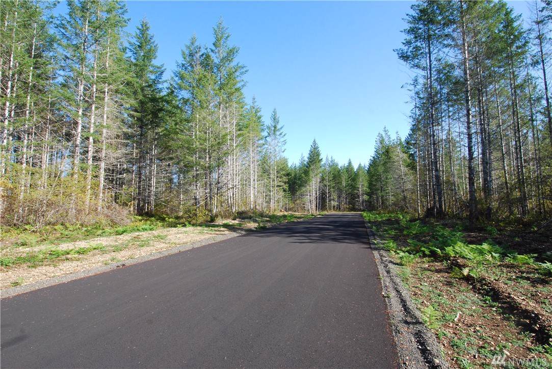 0-Lot 4 Timber Ridge - Photo 1