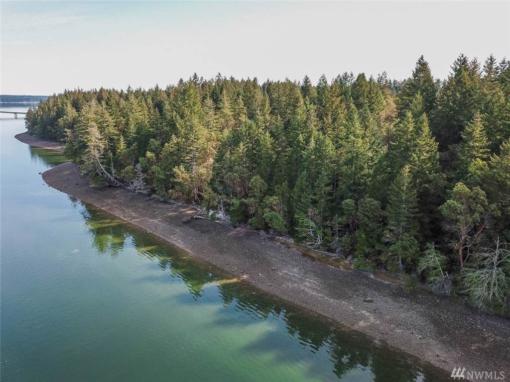 4-Lot South Island Dr - Photo 1
