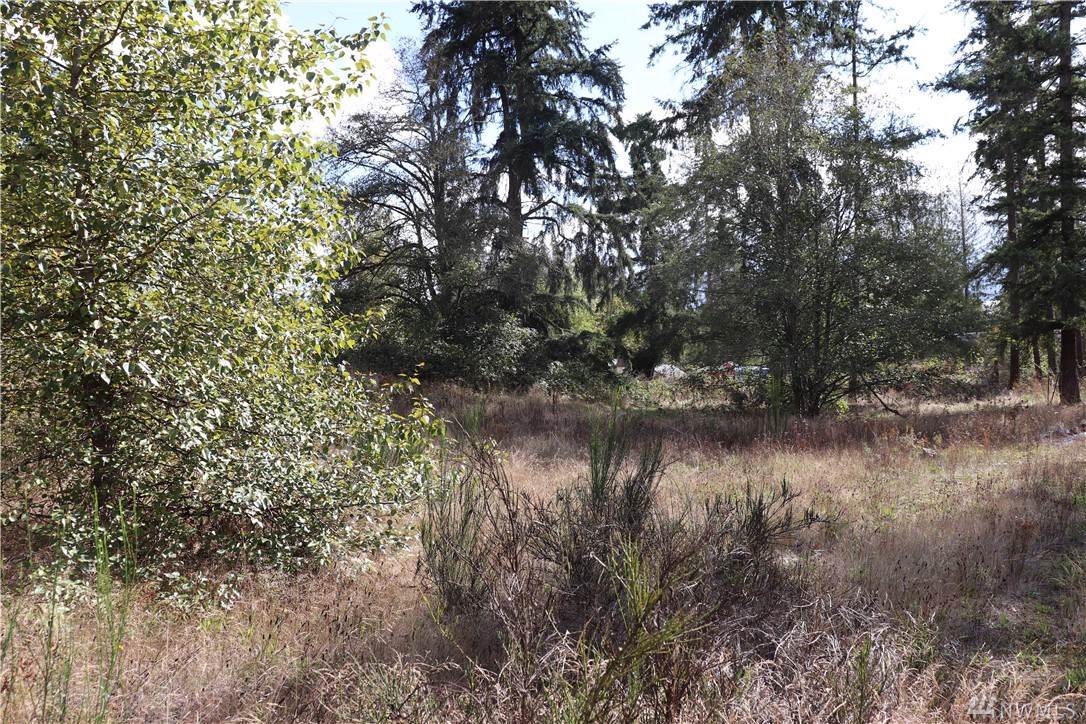 31110 Mountain Hwy - Photo 1