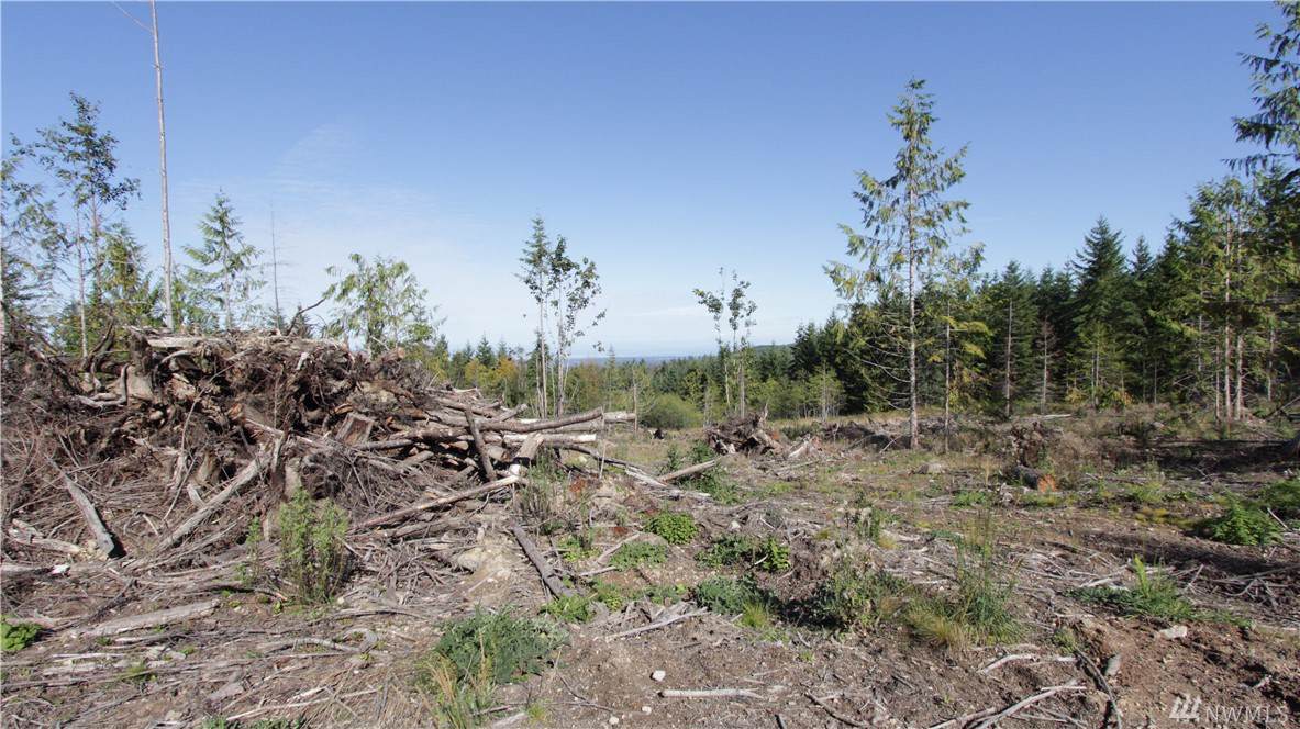 0-Lot 1 Afternoon Hill Lane - Photo 1 0-Lot 1 Afternoon Hill Lane - Photo 1
