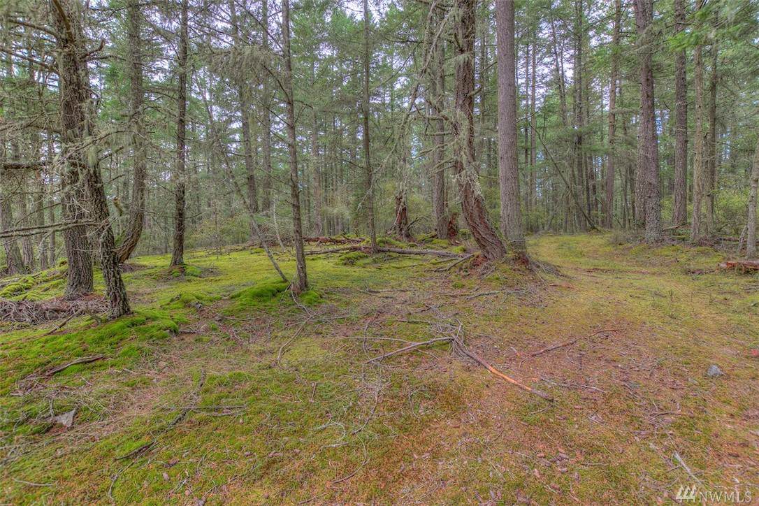 0 Guthrie Cove-Tpn#26134400300 - Photo 1