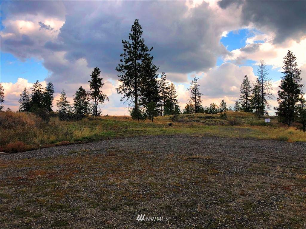 31050 Ruffed Grouse Dr - Photo 1