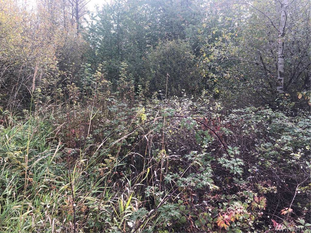 0 Tono Rd - Photo 1