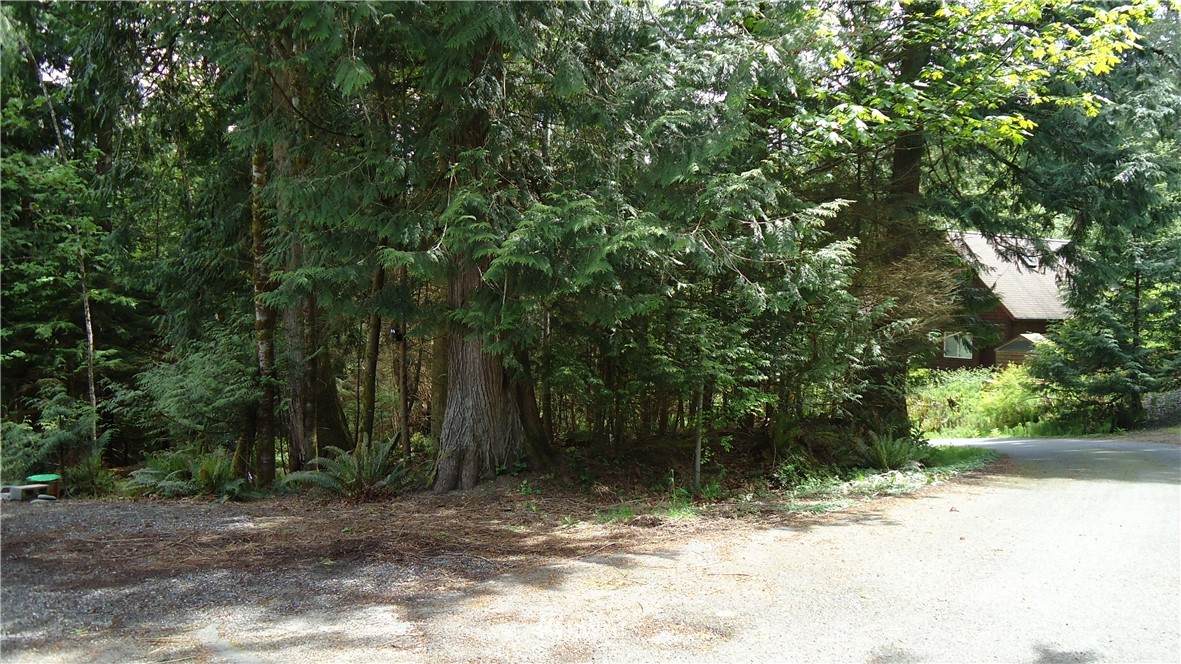 18 Rose Ridge Loop - Photo 1
