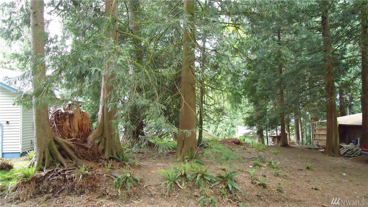 18 Rose Ridge Lp - Photo 1