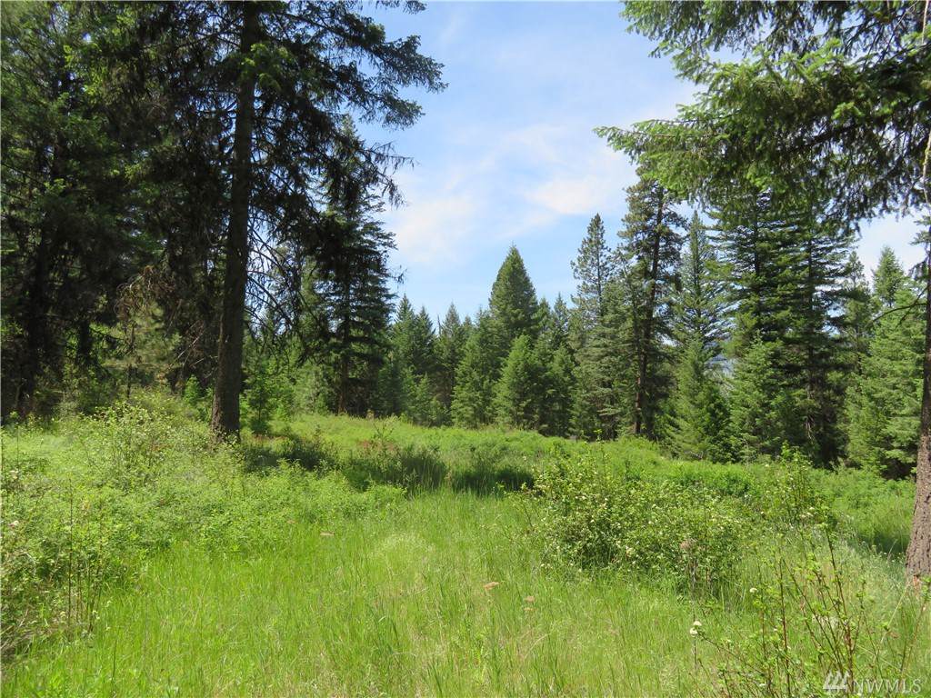 0-Lot 4 Boulder Creek Rd - Photo 1 0-Lot 4 Boulder Creek Rd - Photo 1