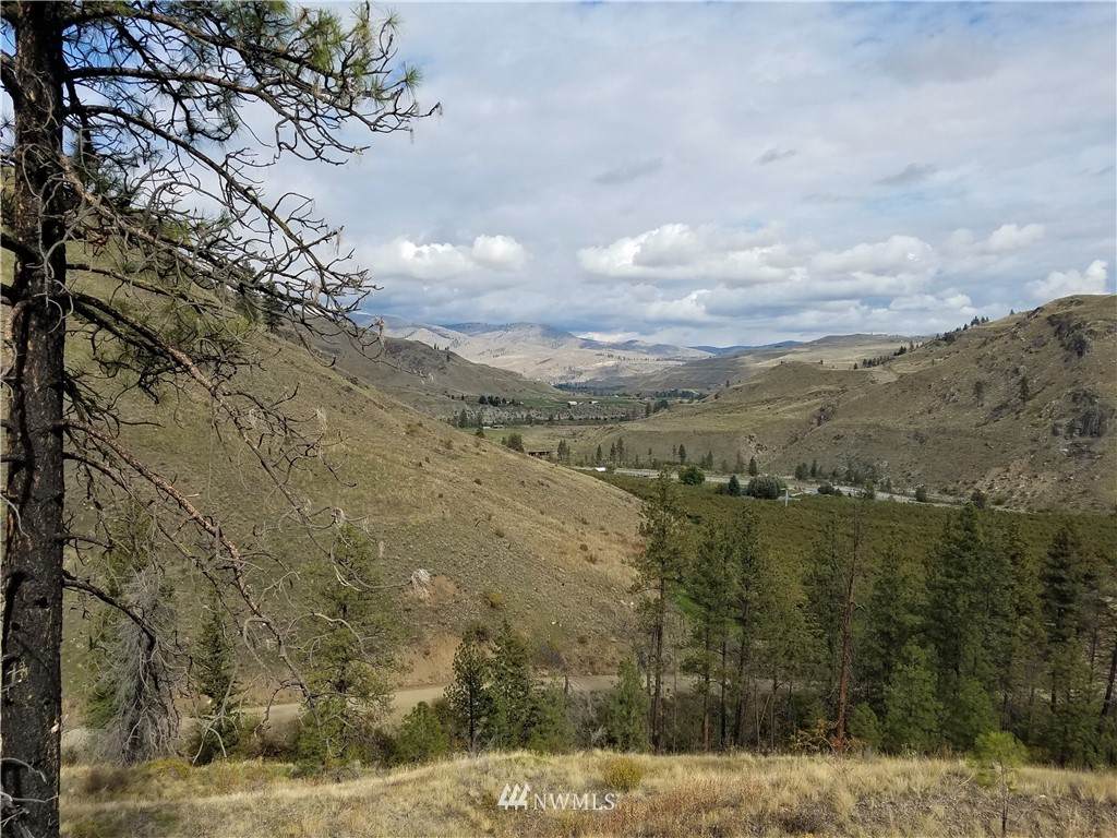 2 Hunter Mountain (Old Squaw Cr) Road - Photo 1