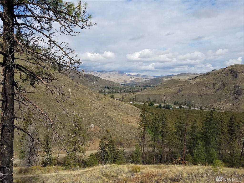2 Hunter Mountain (Old Squaw Cr) Rd - Photo 1