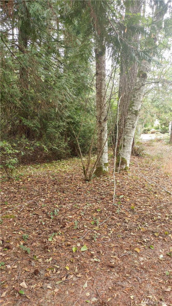 8713 185th Ave - Photo 1