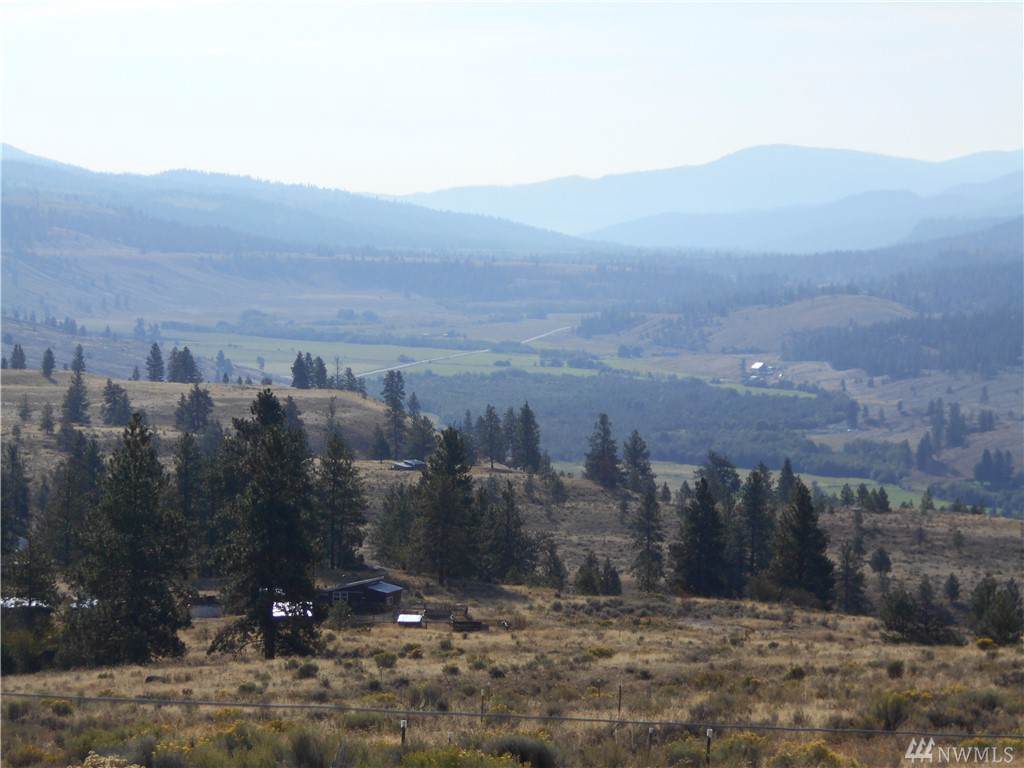 42 Island Mountain Rd - Photo 1